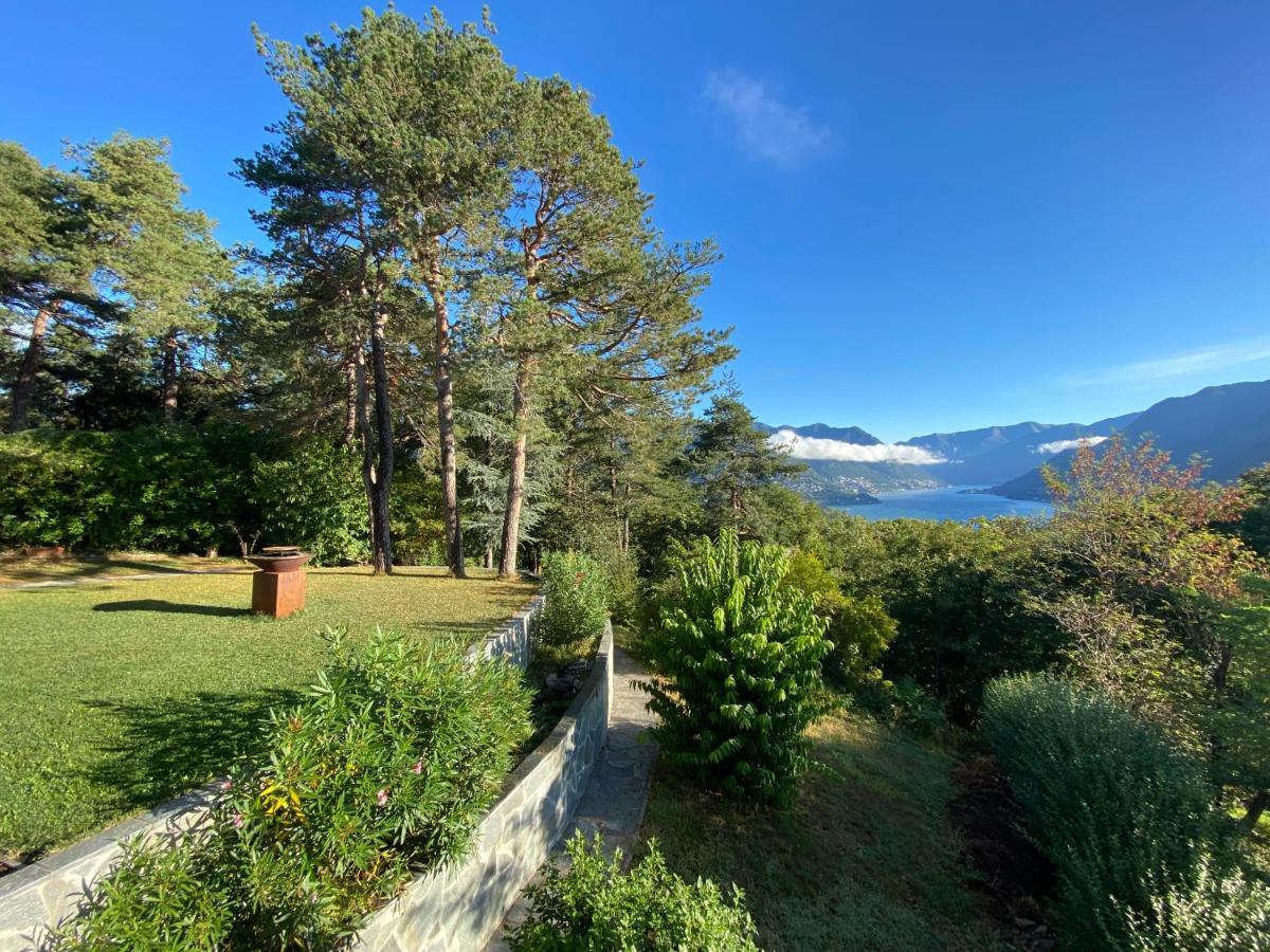 Studio - Villa Cardano 科莫 外观 照片