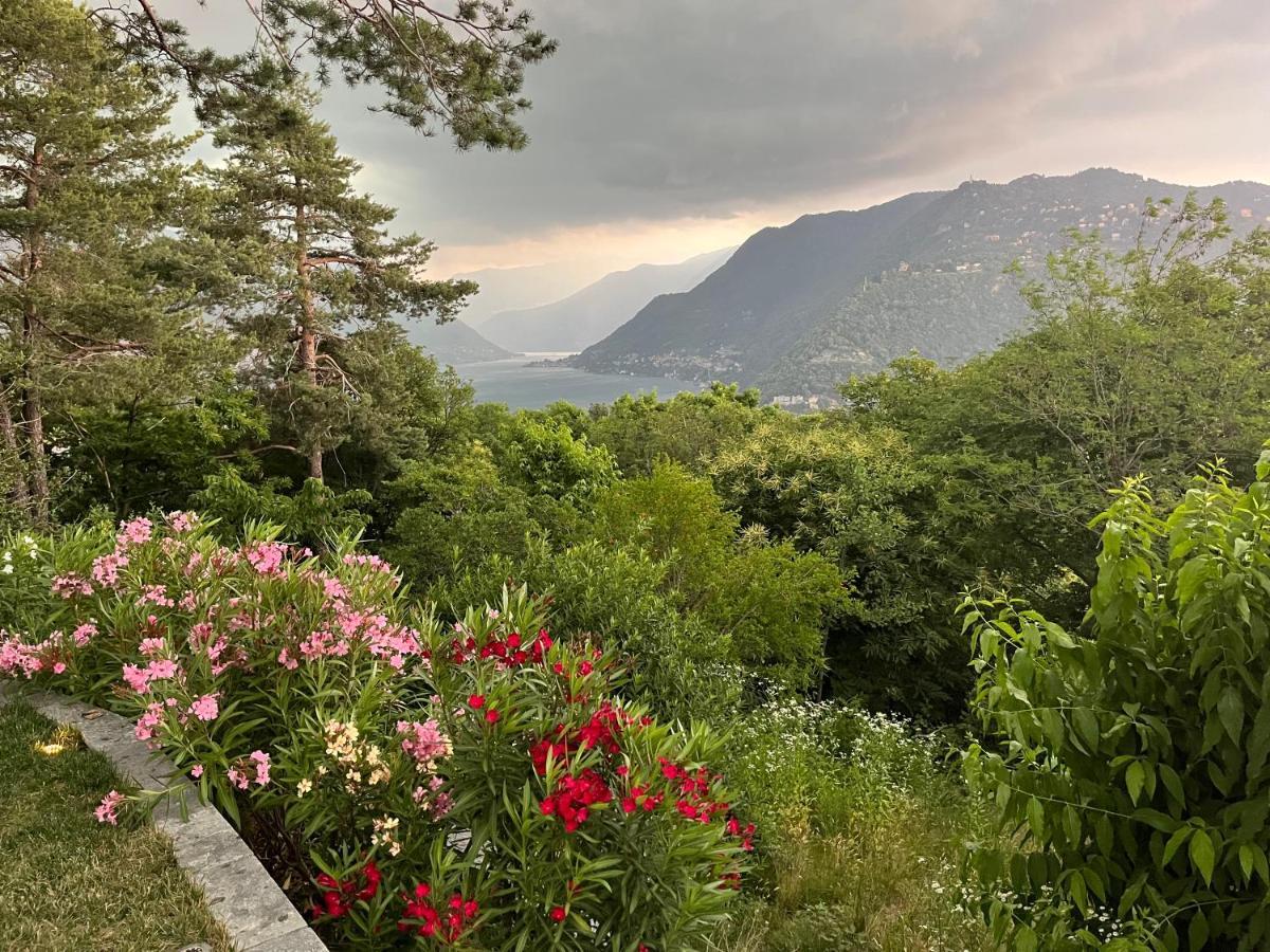 Studio - Villa Cardano 科莫 外观 照片